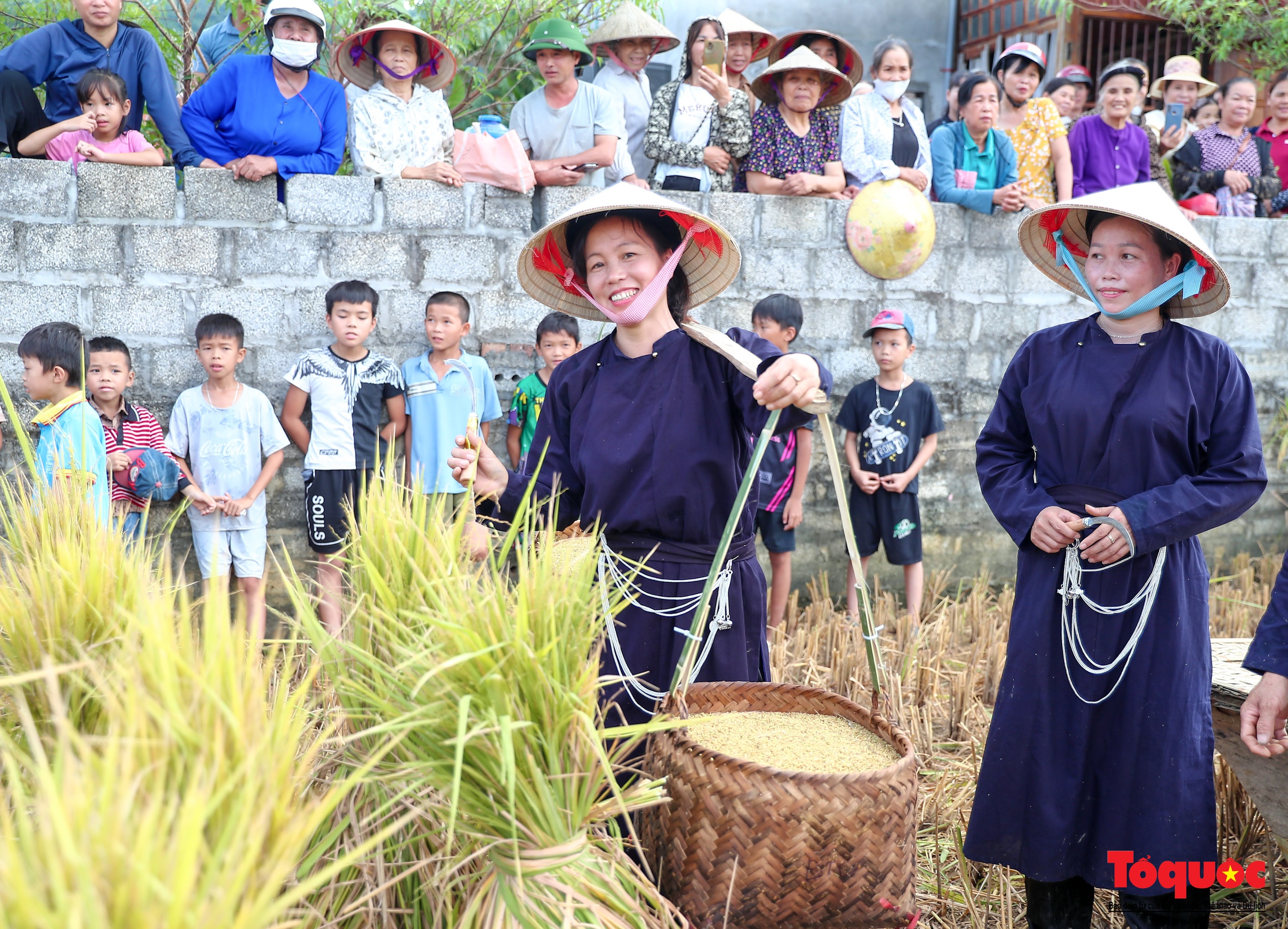 Lên Bắc Sơn xem đồng bào Tày thi gặt lúa bằng công cụ thô sơ - Ảnh 19.