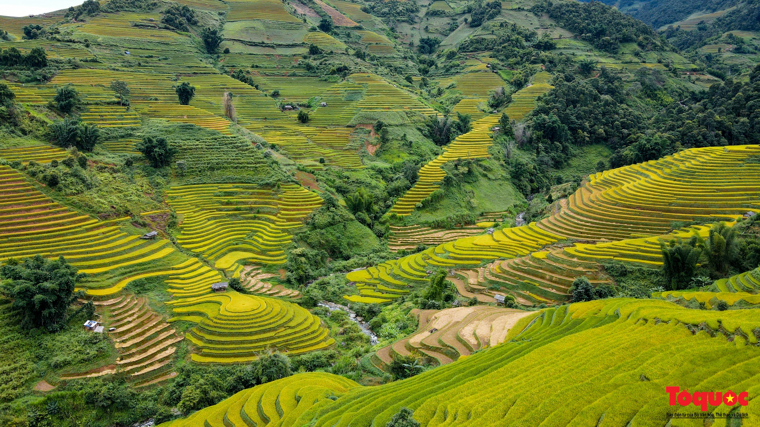 Mùa vàng rực rỡ trên những thửa ruộng bậc thang ở Mù Cang Chải - Ảnh 11.