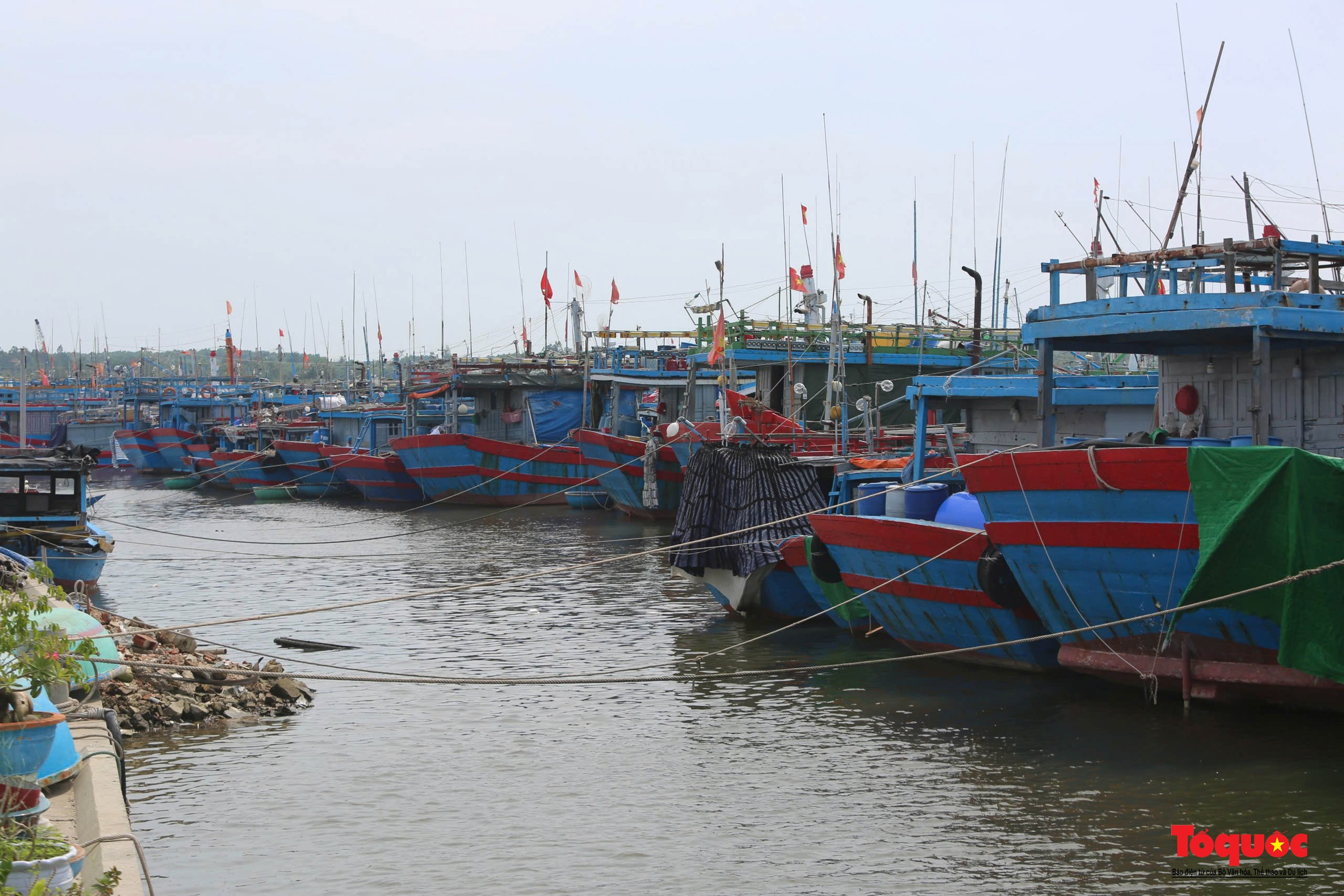 Tàu cá ngư dân miền Trung tấp nập vào bờ tránh bão Trà Mi - Ảnh 10.