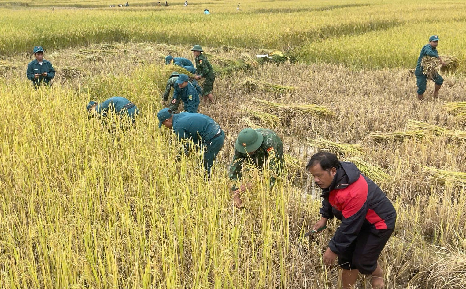 Hình ảnh Bộ đội Biên phòng giúp dân vùng biên giới, vùng biển ứng phó bão Trà Mi - Ảnh 15.