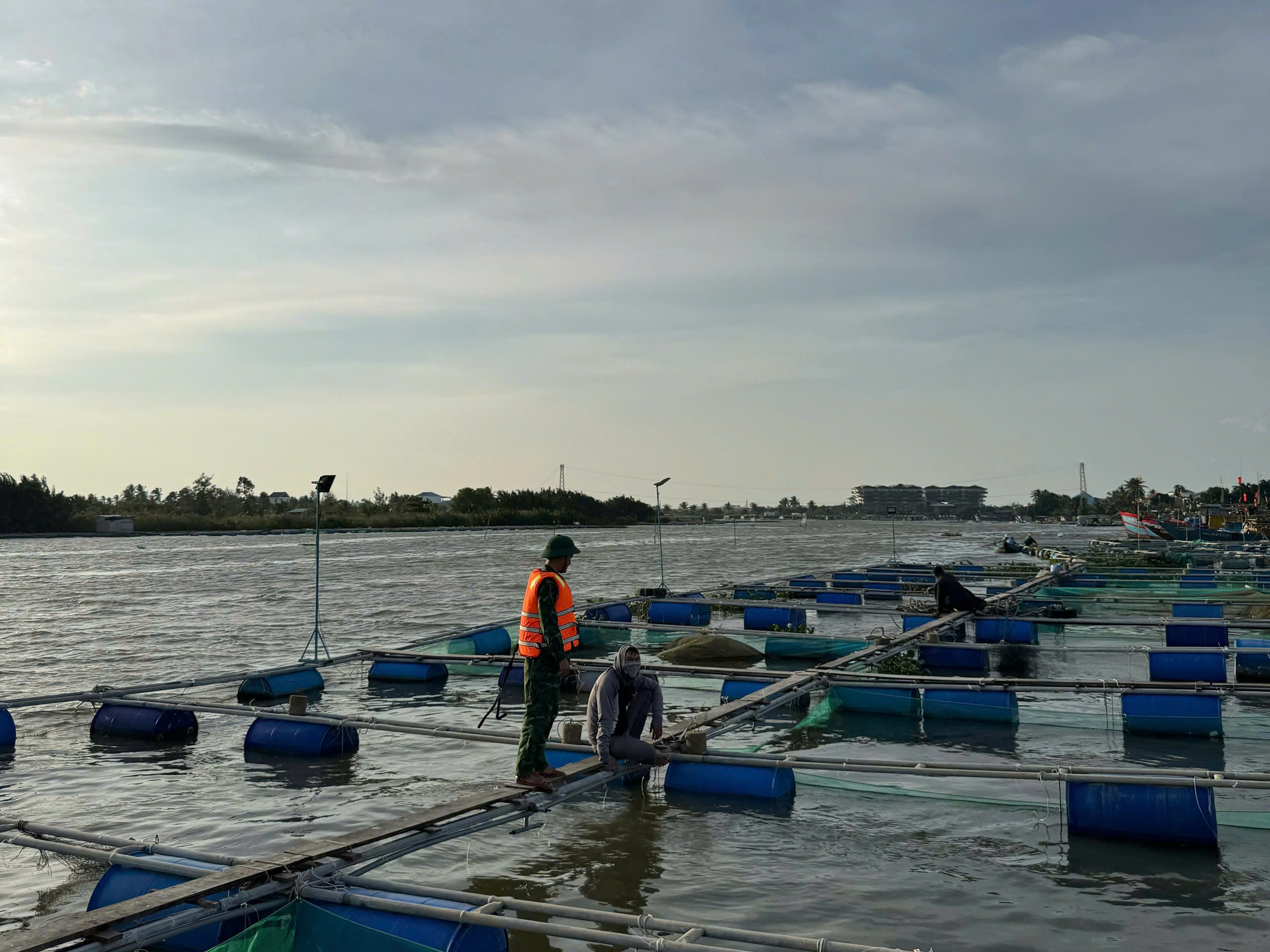 Hình ảnh Bộ đội Biên phòng giúp dân vùng biên giới, vùng biển ứng phó bão Trà Mi - Ảnh 10.