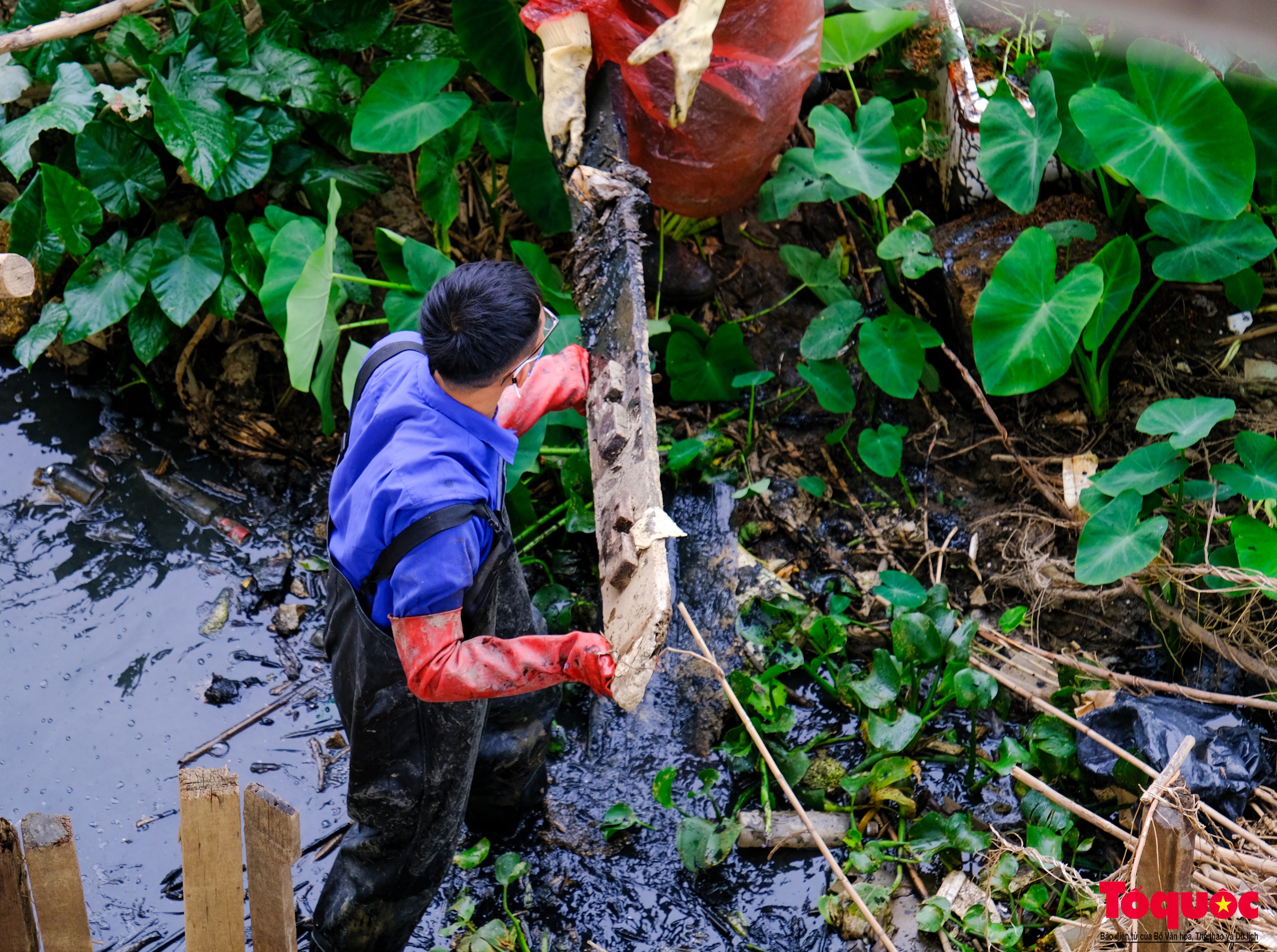 Hàng trăm tình nguyện viên đội mưa dọn rác, trả lại môi trường xanh cho sông Hồng - Ảnh 9.