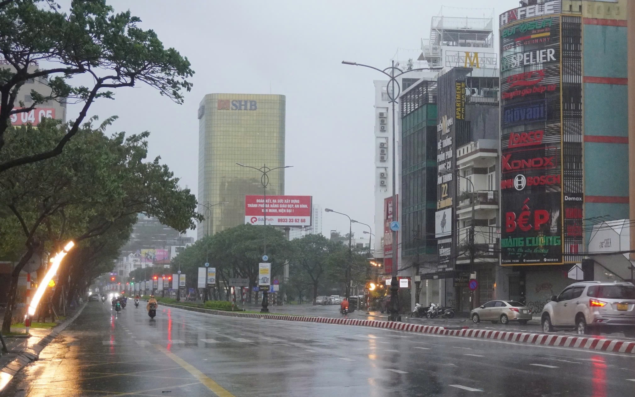 Bão Trà Mi: Nhiều cây xanh ngã đổ đè ô tô ở Đà Nẵng - Ảnh 13.