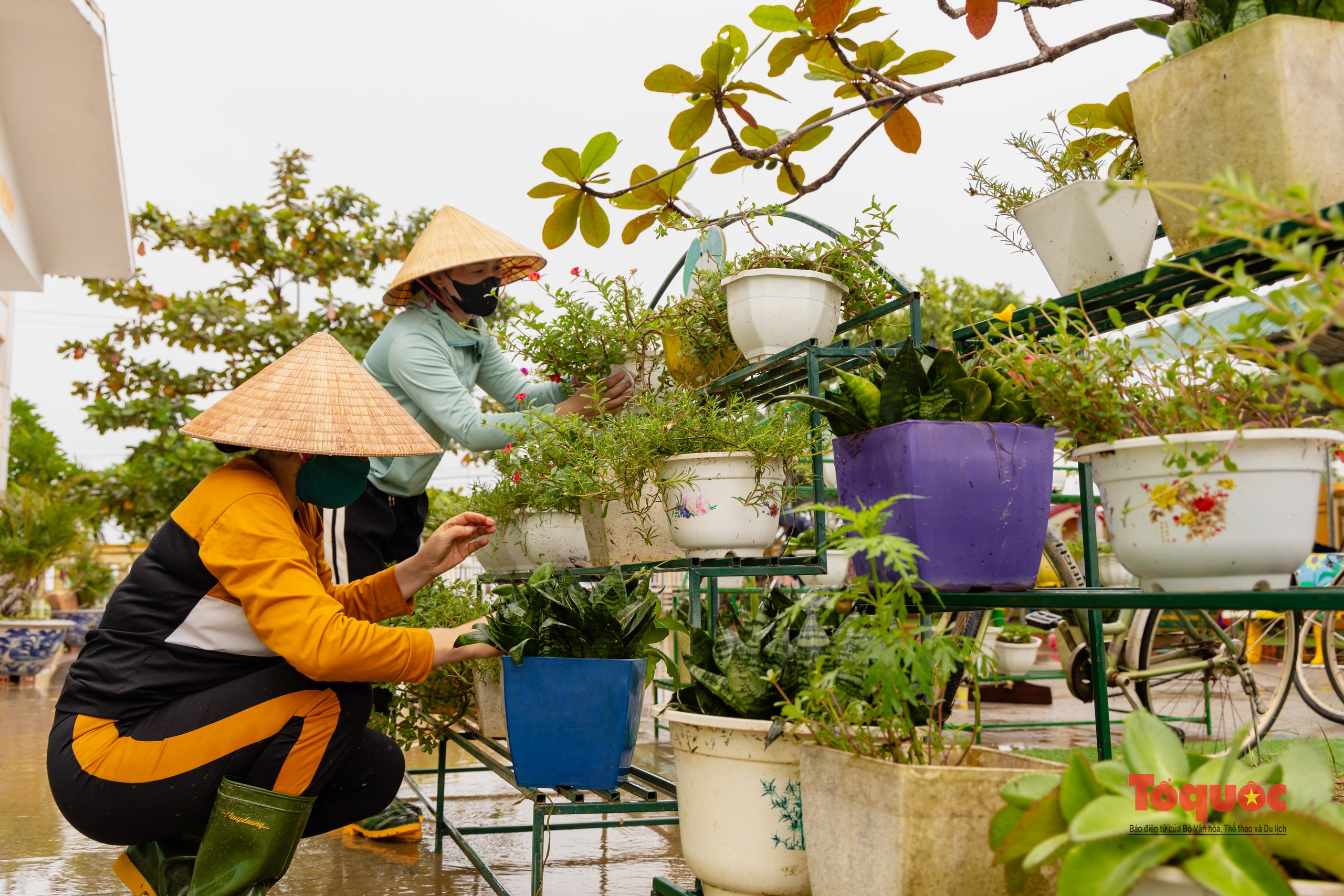 Quảng Bình: Trường học tổng lực dọn vệ sinh sau lũ - Ảnh 11.