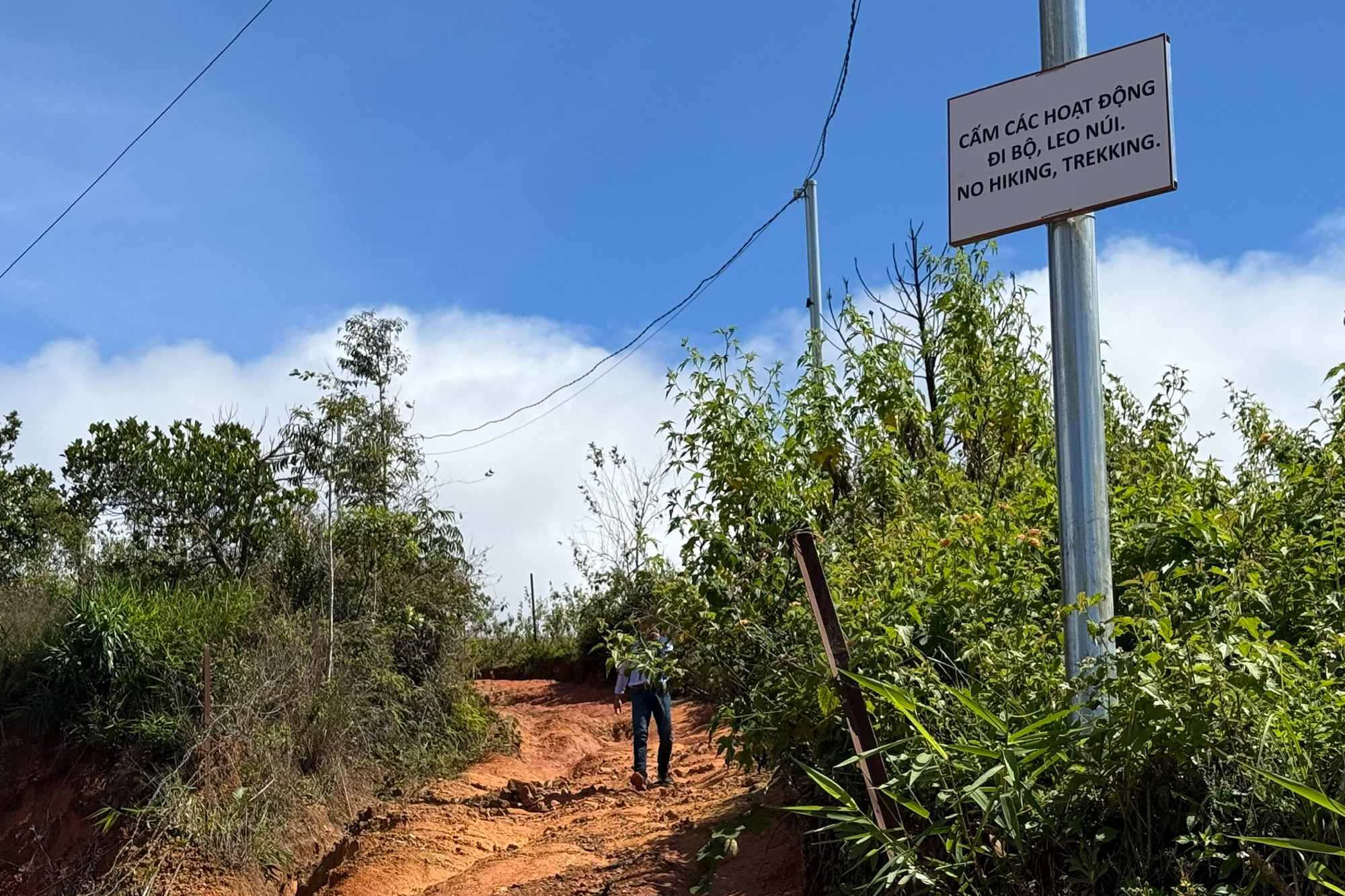 Lam Dong: Dočasné pozastavení pěší trasy na vrchol hory Lang Biang - Foto 1. Lâm Đồng: Tạm dừng tuyến đi bộ lên đỉnh núi Lang Biang - Ảnh 1.