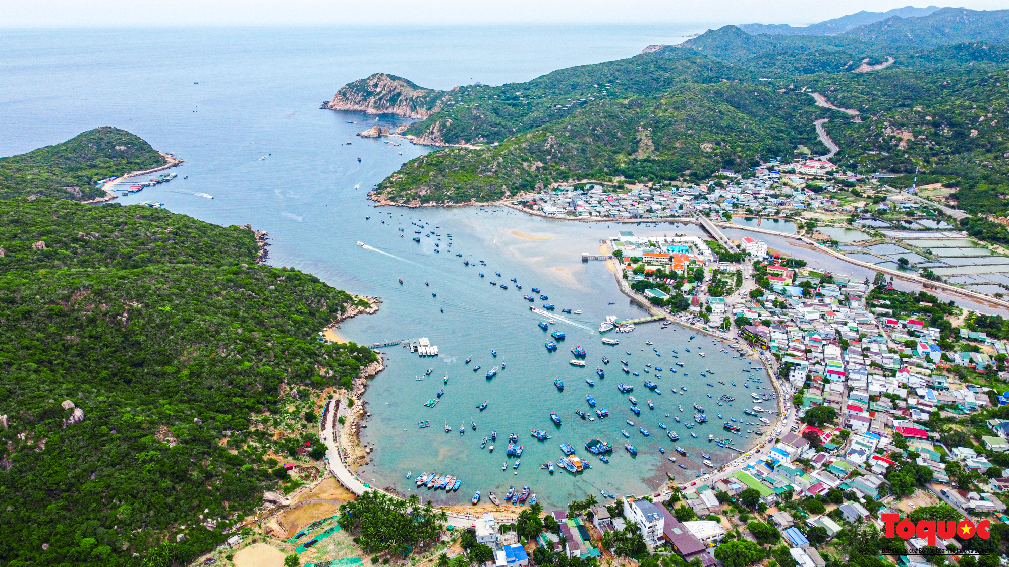 Ninh Thuan oppfordrer bedrifter i Ho Chi Minh-byen til å investere i turisme av høy kvalitet – Bilde 2. Ninh Thuận kêu gọi doanh nghiệp TP. HCM đầu tư vào du lịch chất lượng cao - Ảnh 2.