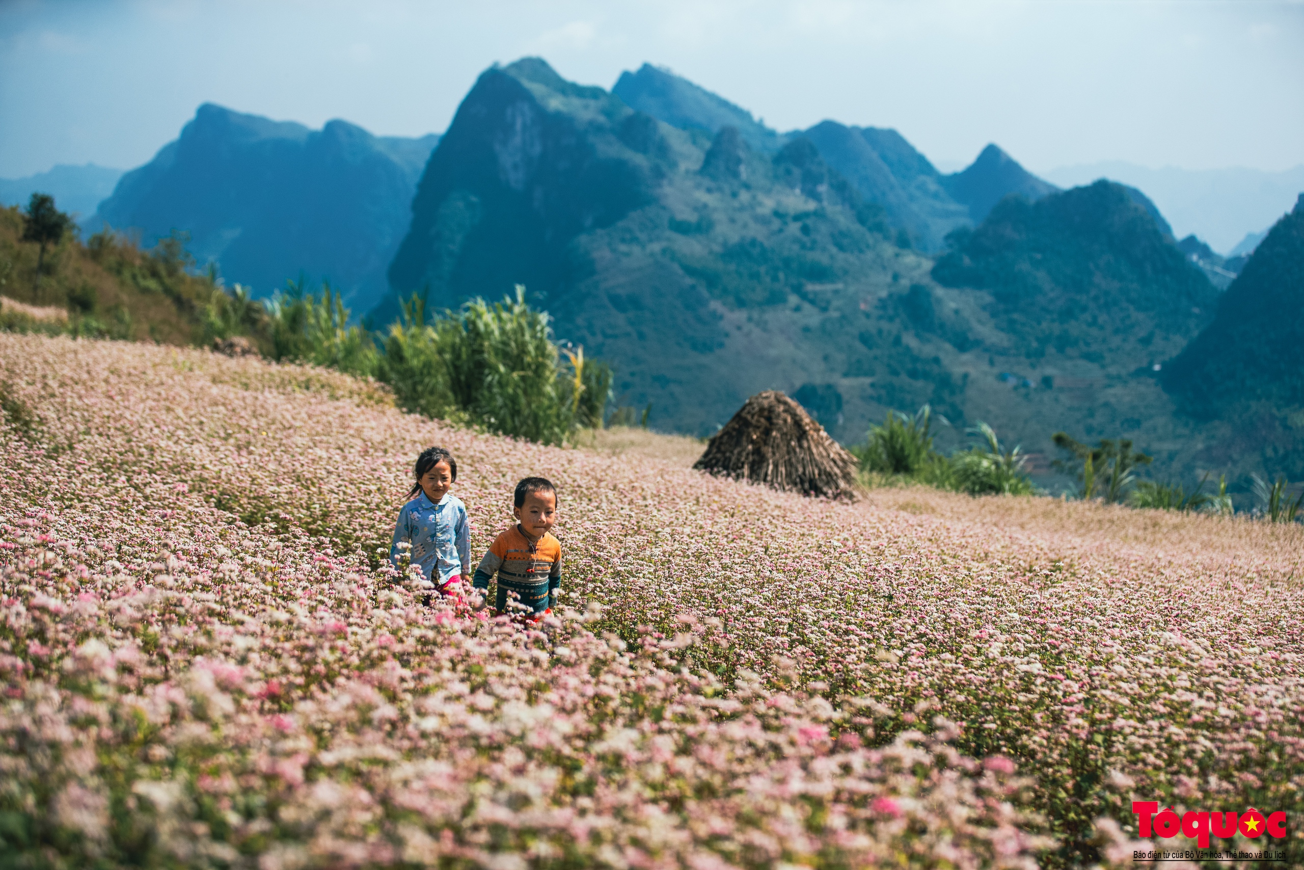 Ngỡ ngàng vẻ đẹp miền sơn cước với mùa hoa tam giác mạch ở Hà Giang - Ảnh 13.