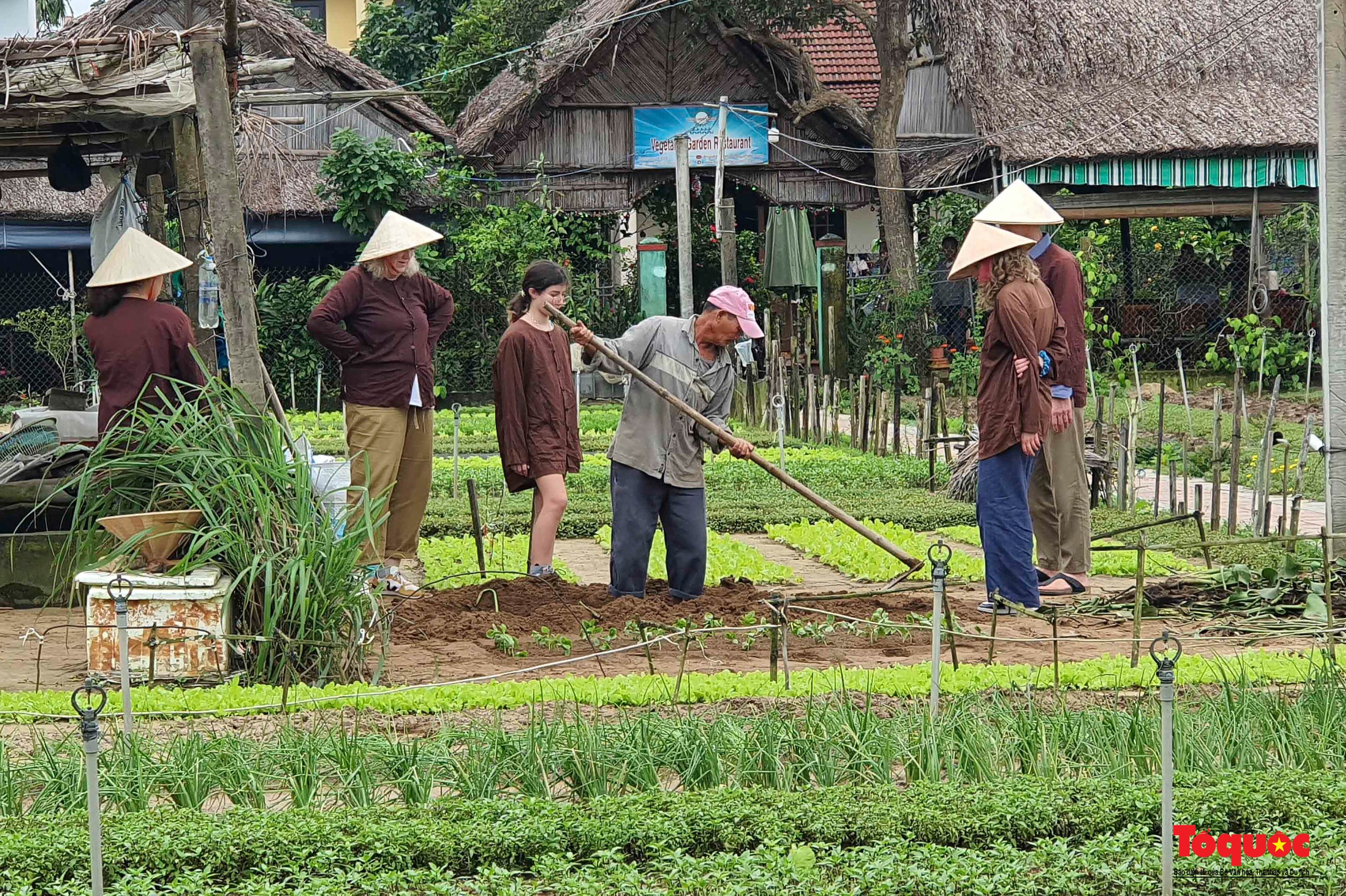 Hình ảnh bình yên ở làng rau Trà Quế - làng du lịch tốt nhất năm 2024 - Ảnh 12.