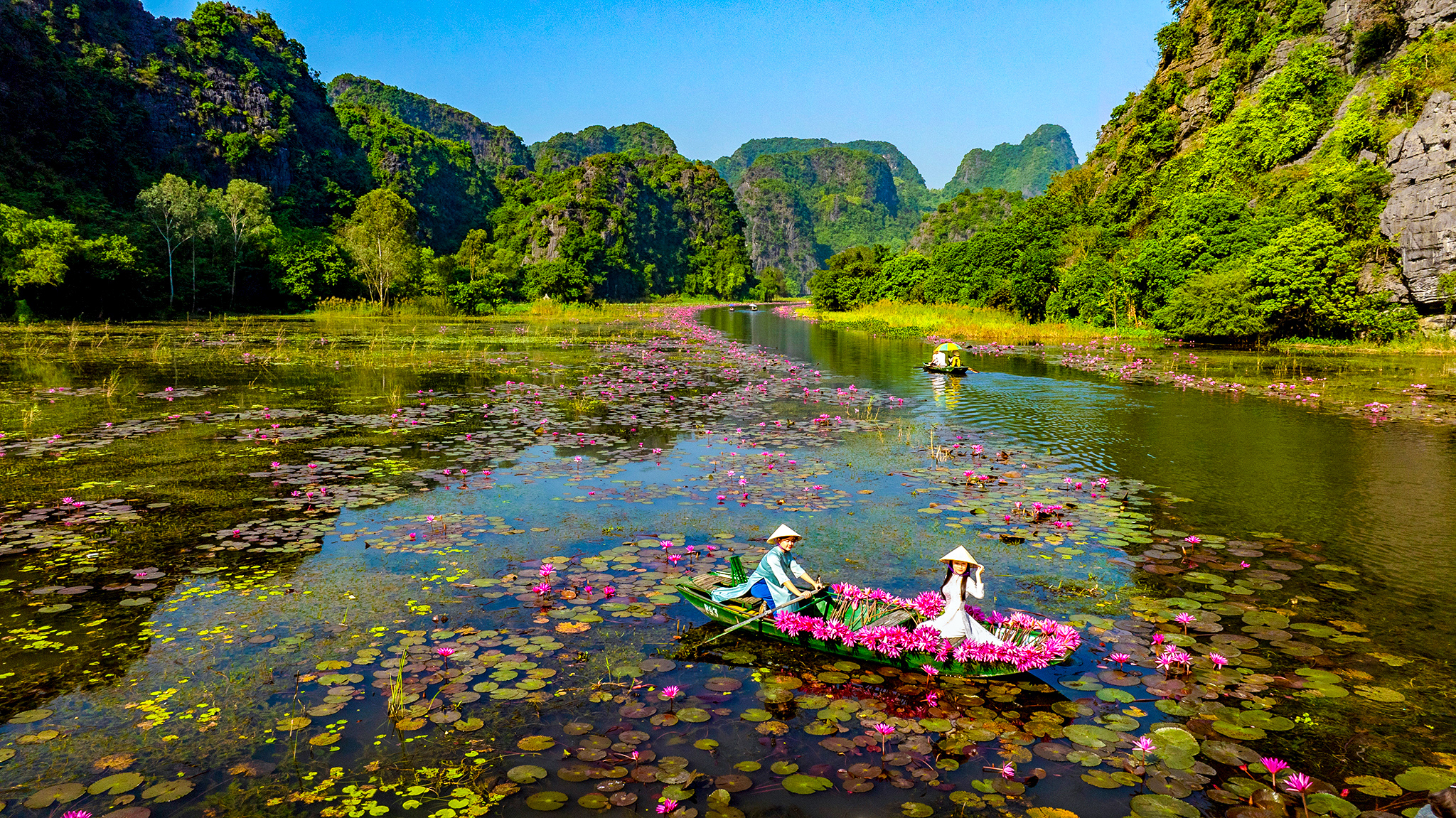 Nao lòng vẻ đẹp mùa hoa súng ở Khu du lịch Tam Cốc - Ảnh 1.