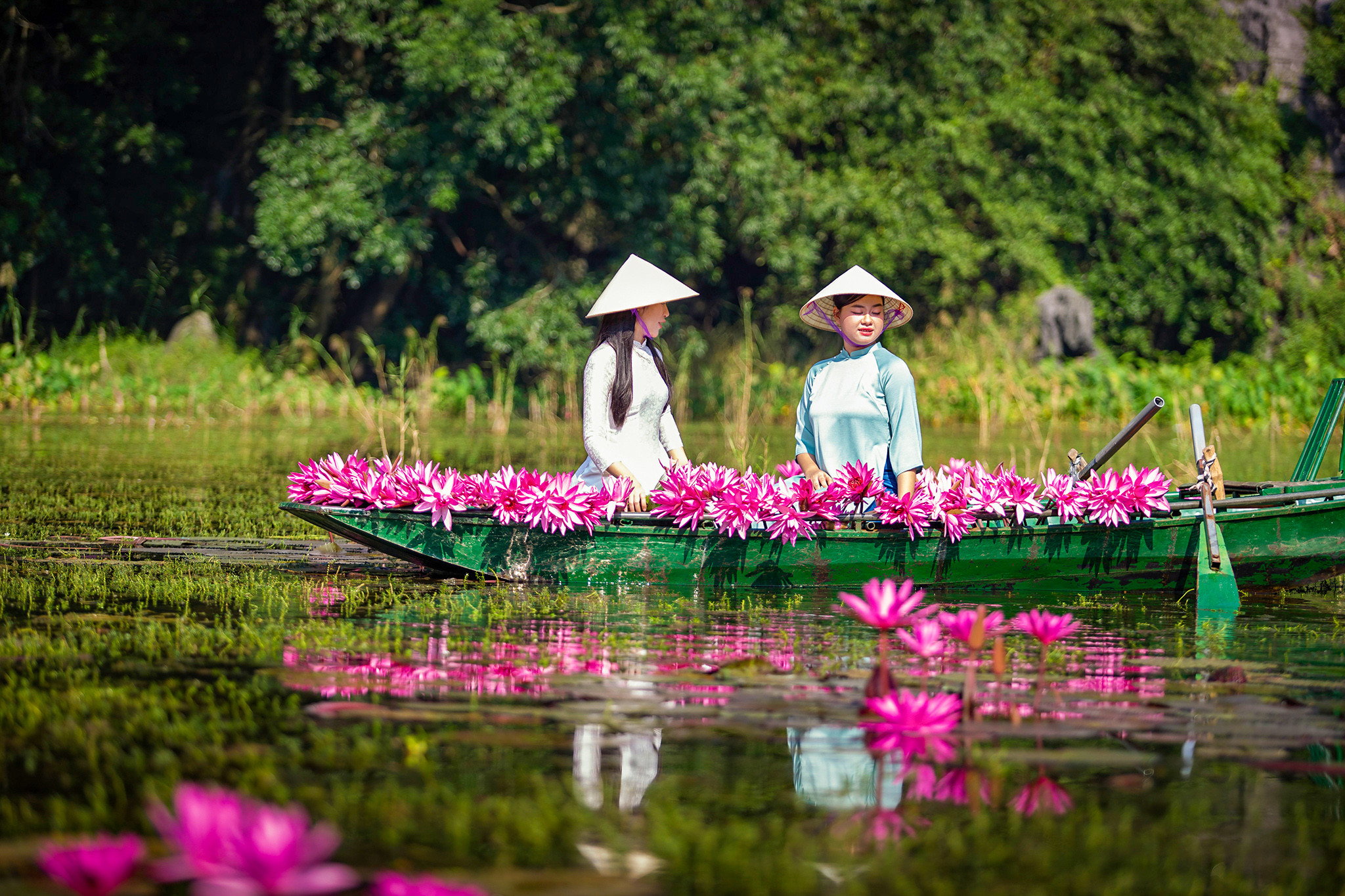 Nao lòng vẻ đẹp mùa hoa súng ở Khu du lịch Tam Cốc - Ảnh 9.