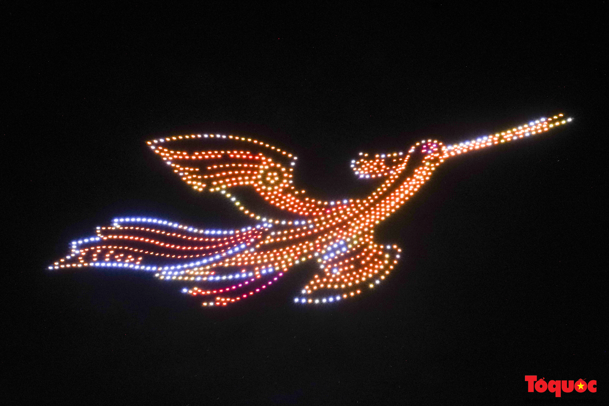 Il y aura un spectacle de lumière de drone à l'ouverture du 10e Festival des fleurs de Da Lat - Photo 1. Sẽ có trình diễn ánh sáng bằng drone tại khai mạc Festival Hoa Đà Lạt lần thứ 10 - Ảnh 1.