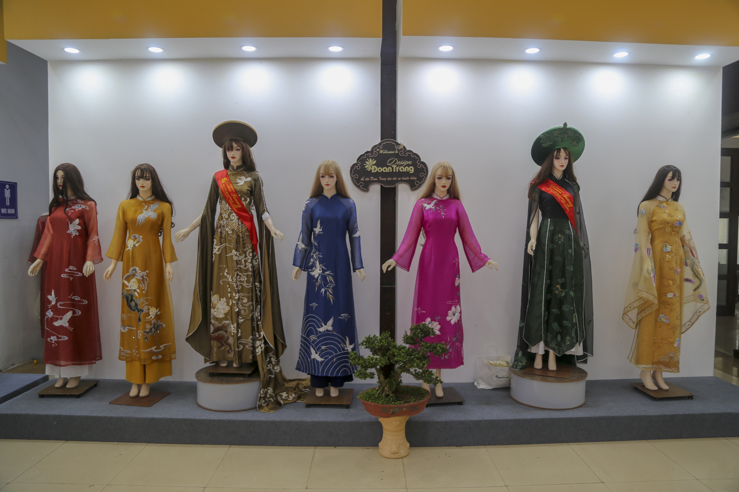 קבלת התואר מורשת תרבותית לאומית בלתי מוחשית Đón nhận danh hiệu Di sản văn hóa phi vật thể quốc gia