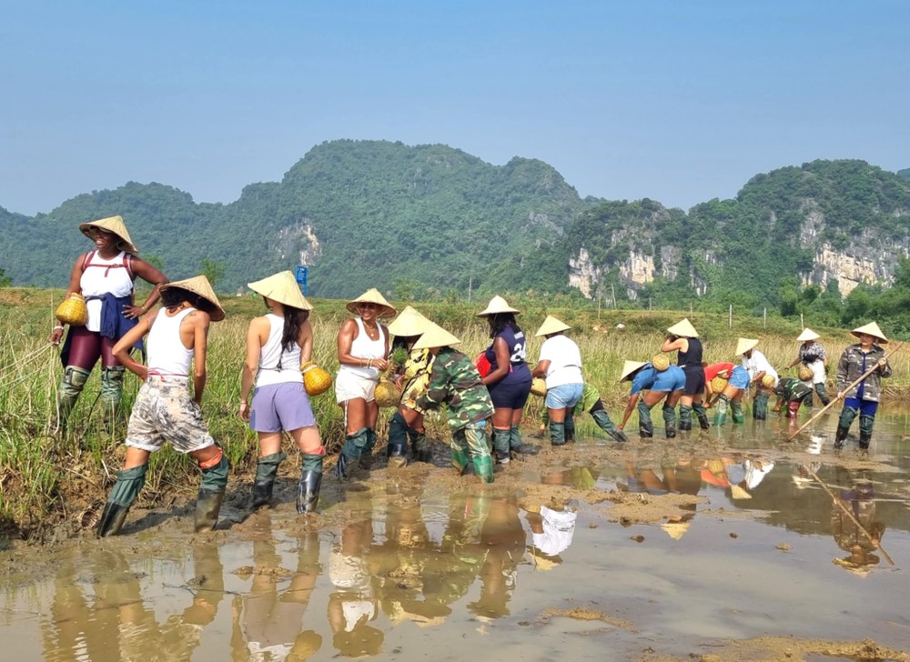 Ninh Bình: Hình ảnh thú vị du khách hào hứng xuống đồng trải nghiệm ở làng quê - Ảnh 2.