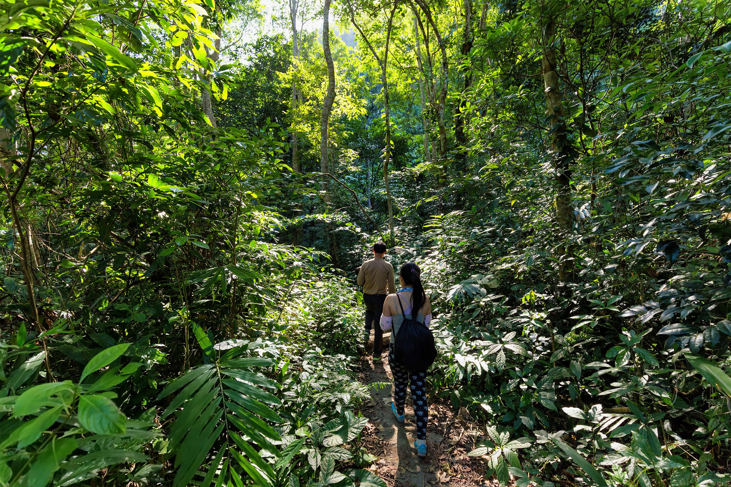 vietnam-shutterstock265662959-rfc-1731036008036207031328.jpeg