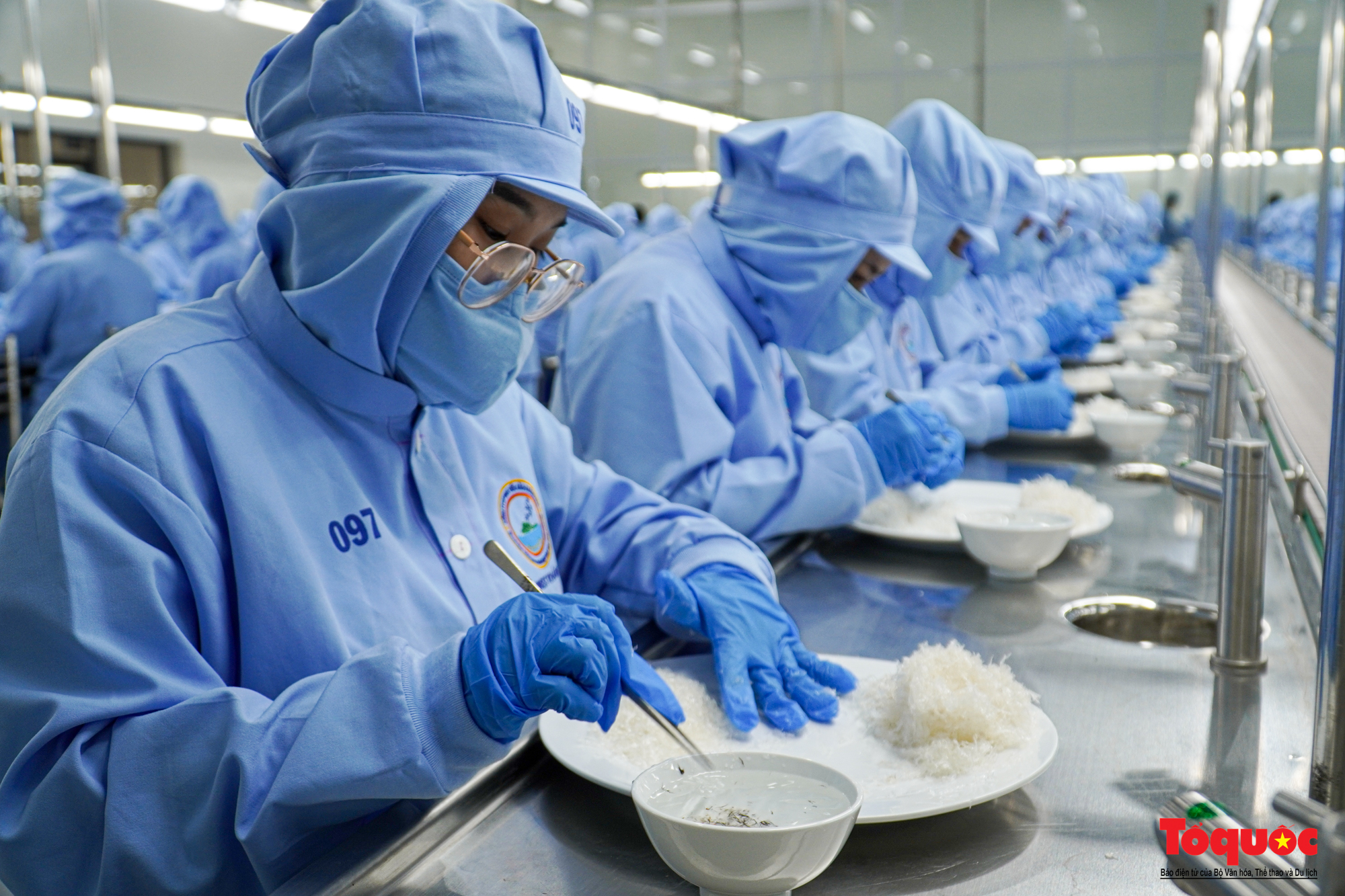 खान होआ पक्षी के घोंसले के दोहन और प्रसंस्करण का ज्ञान एक राष्ट्रीय अमूर्त सांस्कृतिक विरासत है - फोटो 1. Tri thức khai thác và chế biến yến sào Khánh Hòa là di sản văn hóa phi vật thể quốc gia - Ảnh 1.