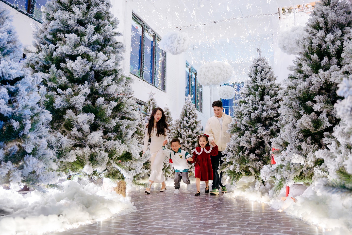 “Nhà của ông già Noel” bất ngờ xuất hiện tại khu đô thị của nhà sáng lập Ecopark - Ảnh 10.