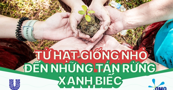 Một triệu cây xanh mang hành trình gieo mầm hy vọng trải dài từ Bắc chí Nam