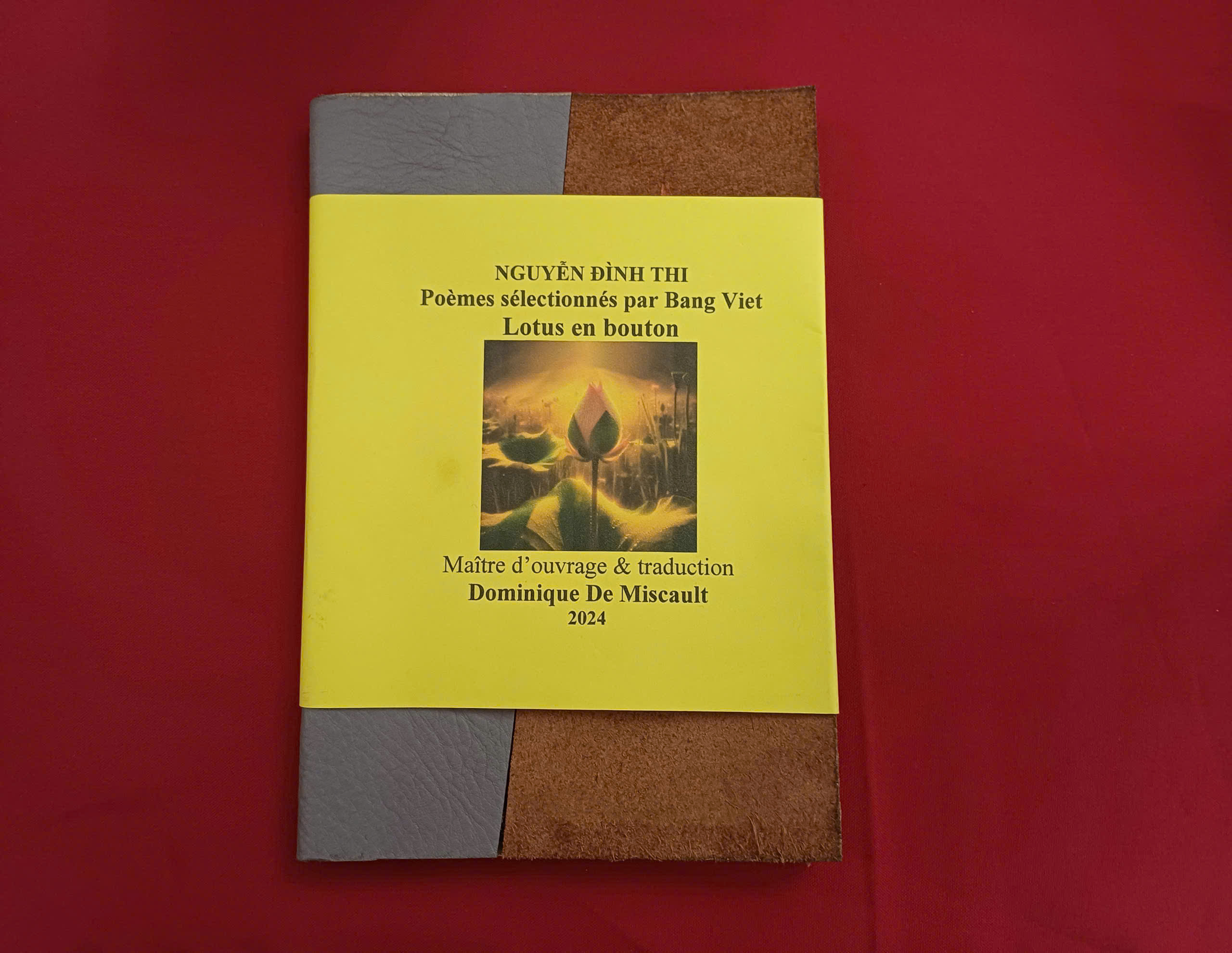 مصنف Nguyen Dinh Thi کو یاد کرنا اور ان کا احترام کرنا - تصویر 3۔ Tưởng nhớ và tôn vinh nhà văn Nguyễn Đình Thi - Ảnh 3.