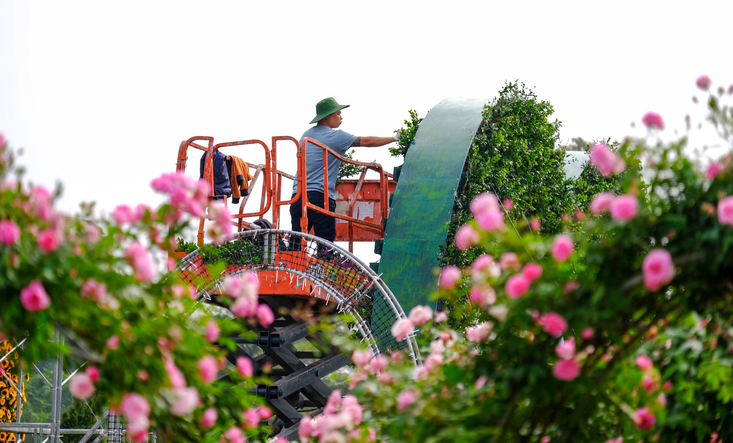 Mê Linh sẵn sàng cho lễ hội hoa lớn nhất miền Bắc - Ảnh 7. Mê Linh sẵn sàng cho lễ hội hoa lớn nhất miền Bắc - Ảnh 7.