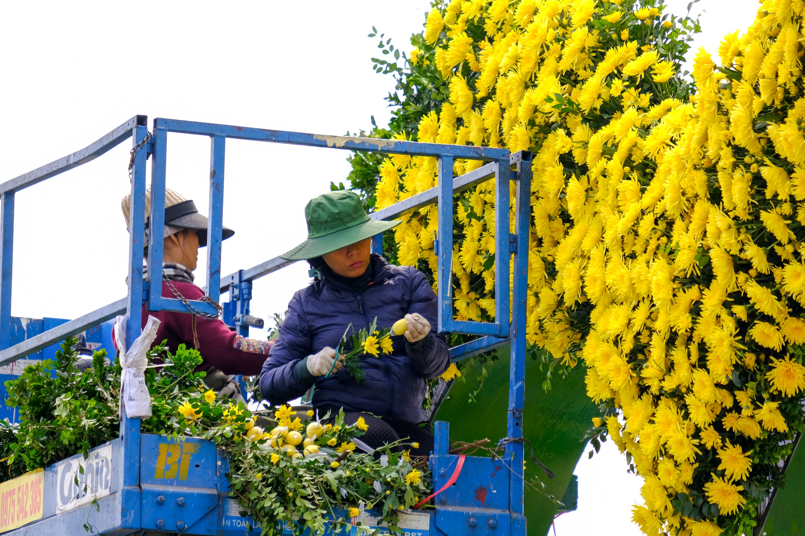 Mê Linh sẵn sàng cho lễ hội hoa lớn nhất miền Bắc - Ảnh 24.