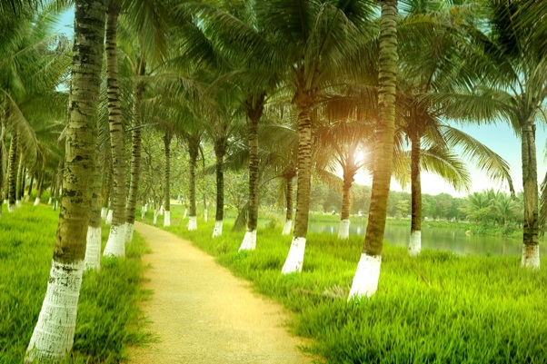 “Phải lòng” Ecopark - Ảnh 4.