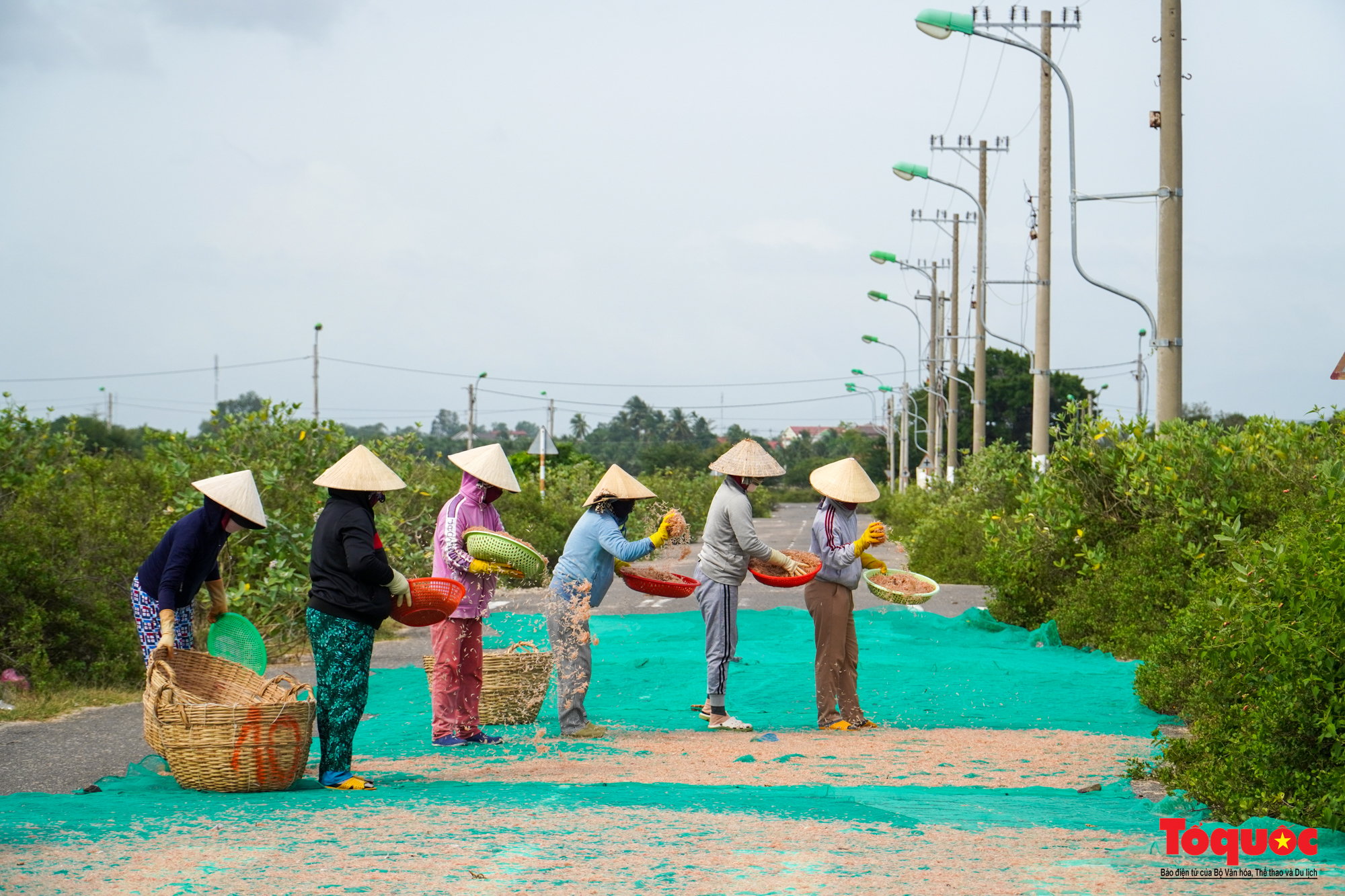 Khu tái định cư hơn 50ha vắng bóng người dân ở Khánh Hòa - Ảnh 7.