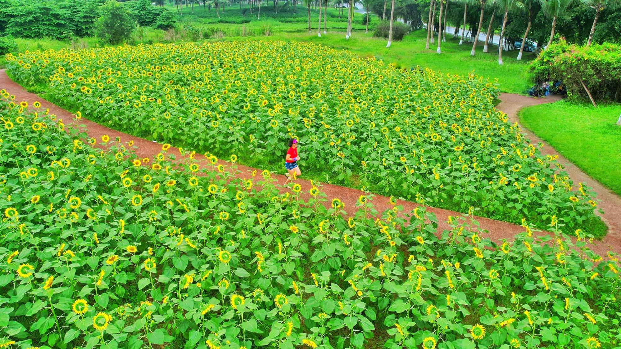 “Thiên đường” của người yêu thể thao trong đô thị xanh lớn nhất miền Bắc - Ảnh 5.