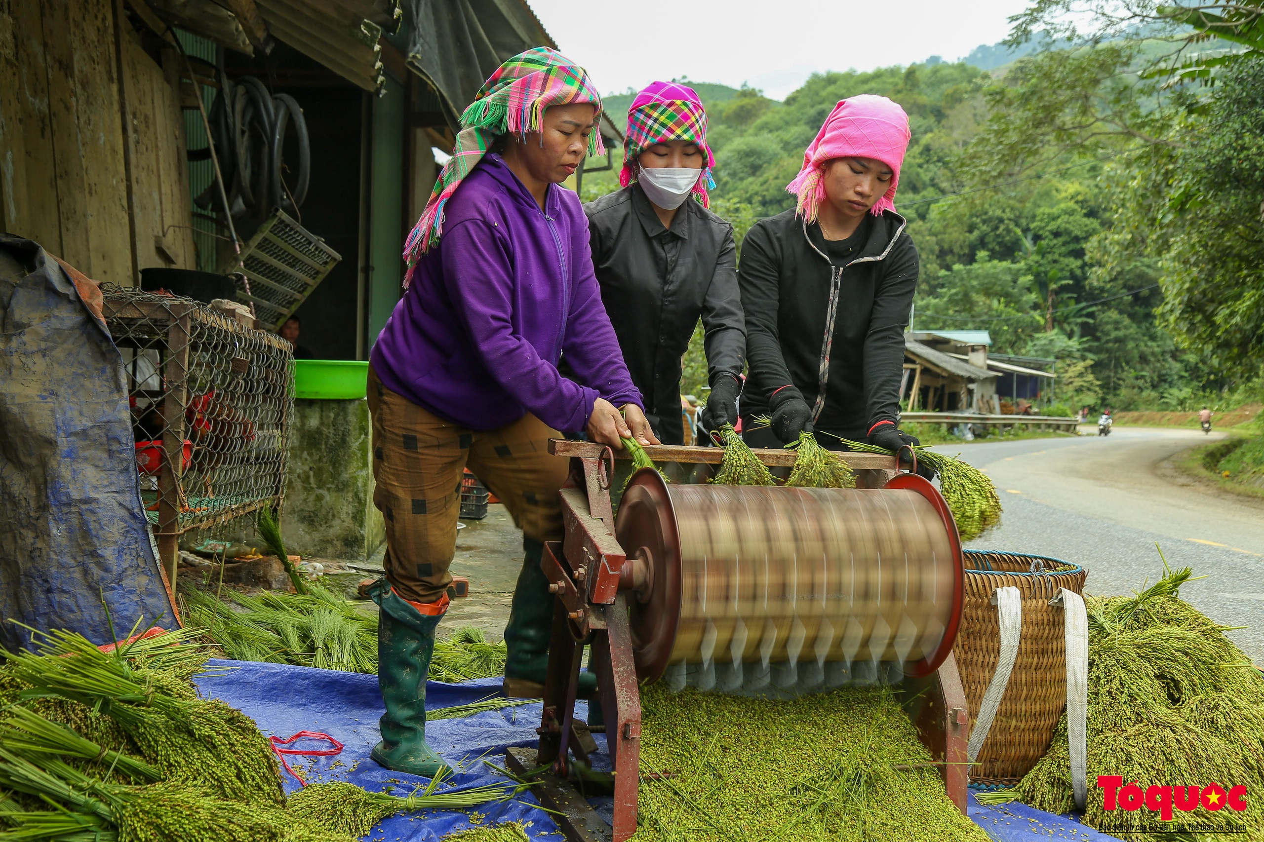 Cốm Tú Lệ - quà của núi rừng Tây Bắc - Ảnh 4.