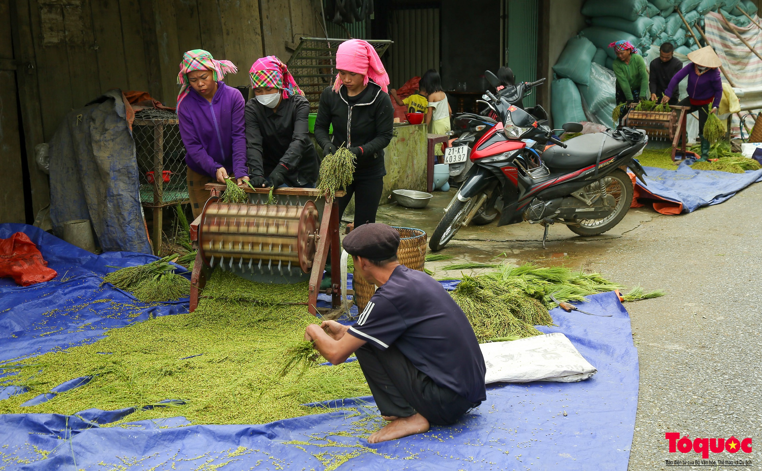 Cốm Tú Lệ - quà của núi rừng Tây Bắc - Ảnh 5.