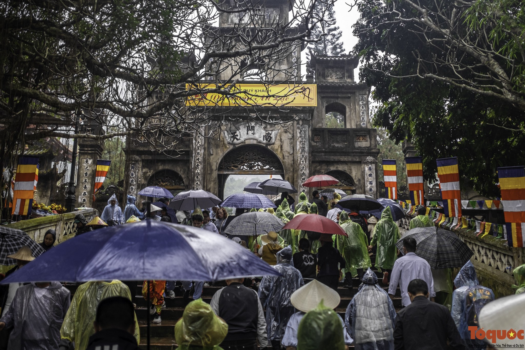 Du khách hành hương đội mưa về khai hội chùa Hương - Ảnh 3.