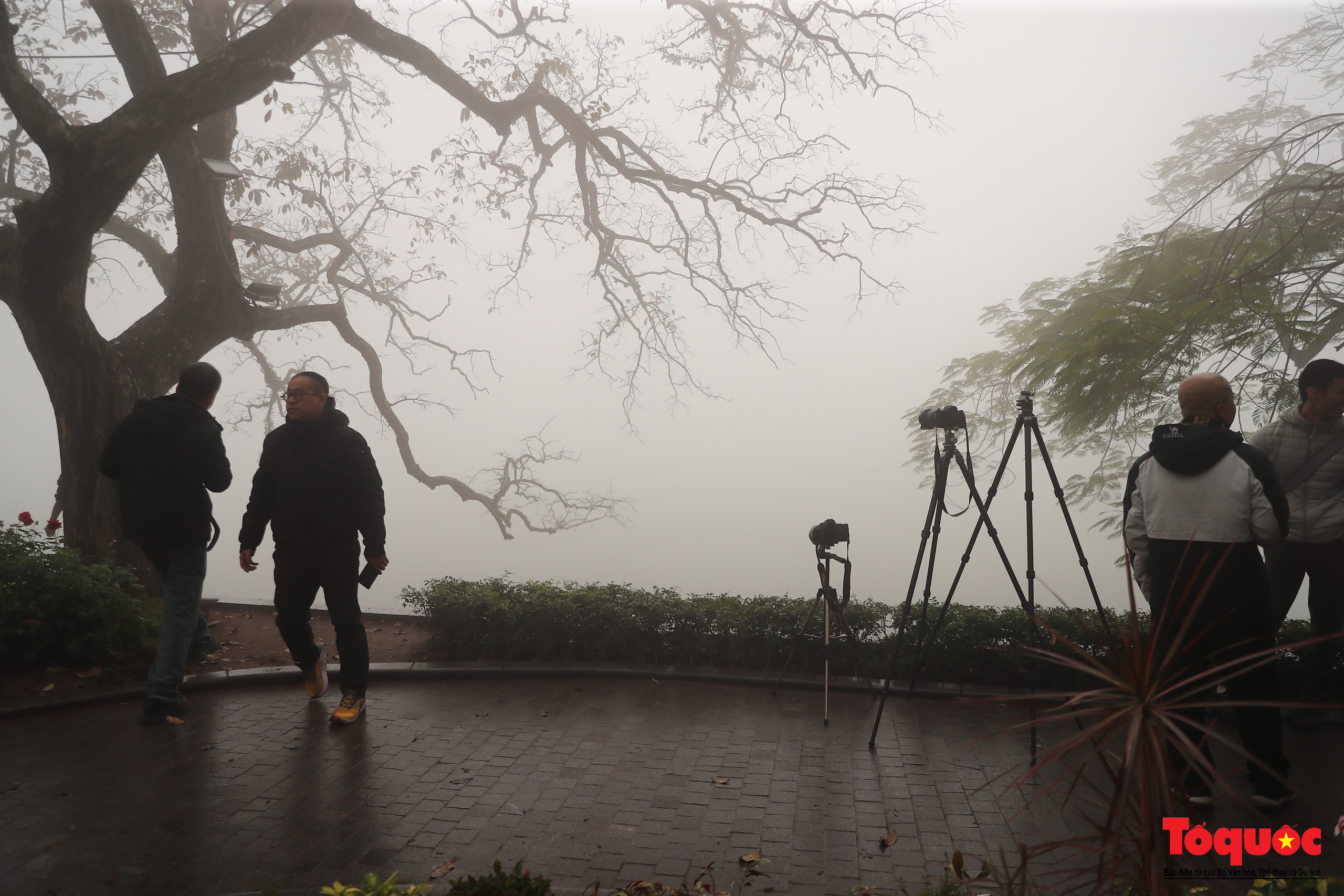 Du khách thích thú với sương mù dày đặc ở Hà Nội - Ảnh 8.