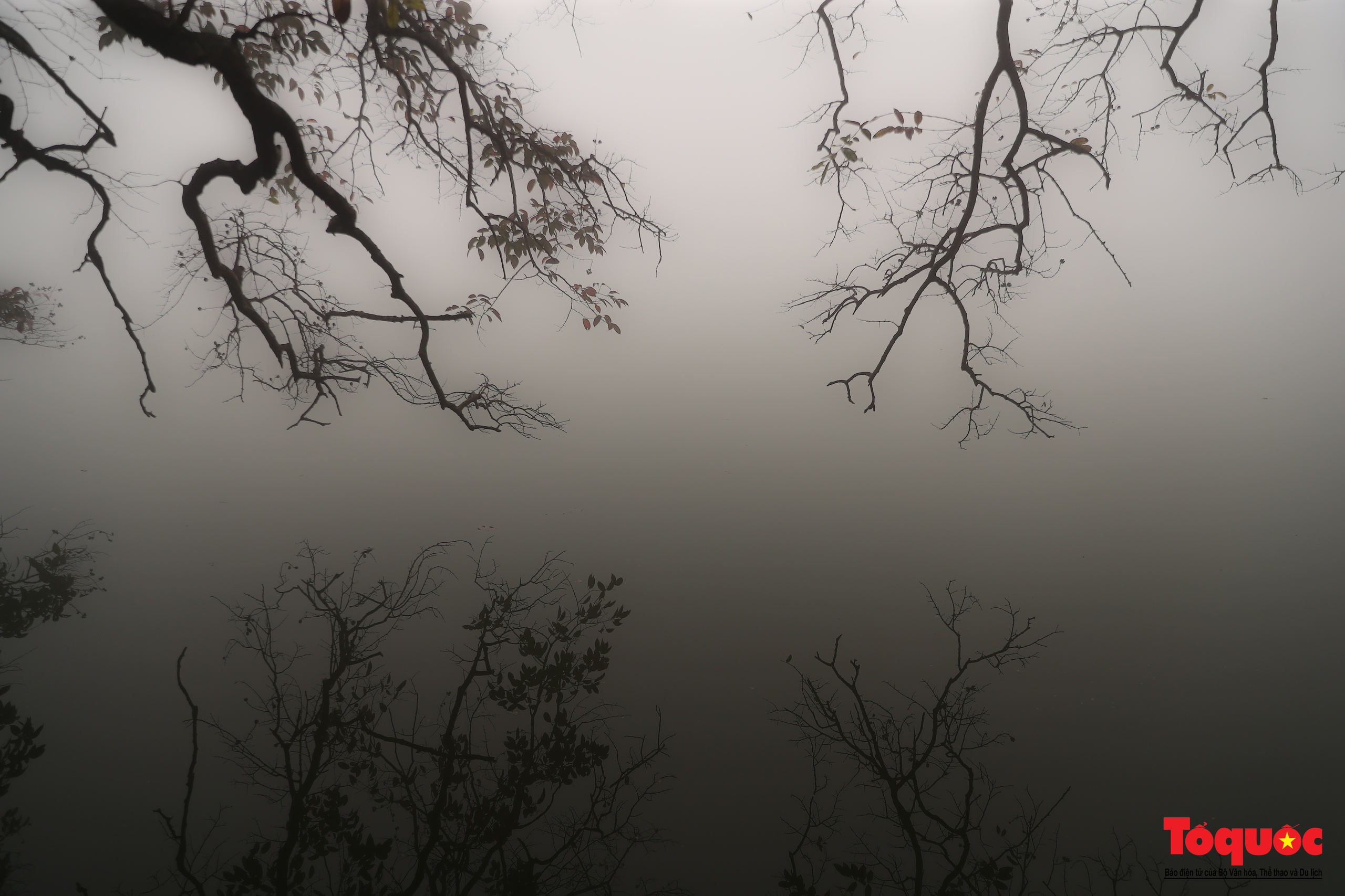 Du khách thích thú với sương mù dày đặc ở Hà Nội - Ảnh 12.