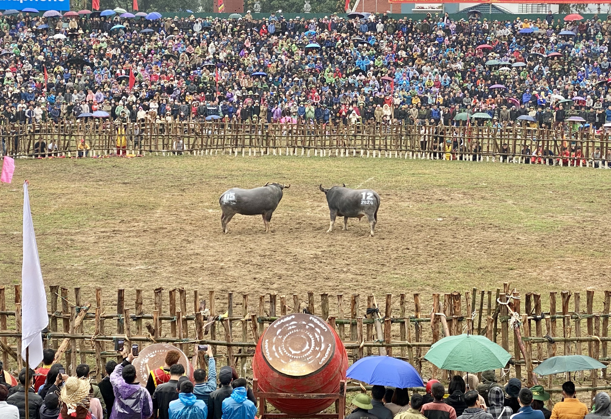 Винь Фук: Награждение победителей на Фестивале боев быков Хай Лу 2024 г. - Фото 4. Vĩnh Phúc: Trao giải chiến thắng tại Lễ hội Chọi trâu Hải Lựu năm 2024  - Ảnh 4.