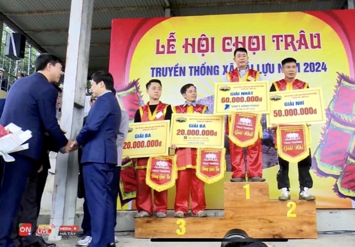 Винь Фук: Награждение победителей на Фестивале боев быков Хай Лу 2024 года - Фото 5. Vĩnh Phúc: Trao giải chiến thắng tại Lễ hội Chọi trâu Hải Lựu năm 2024  - Ảnh 5.