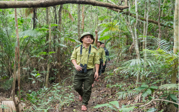 Công tác nỗ lực tuần tra, tháo gỡ bẫy tại vườn quốc gia Vũ Quang - Hà Tĩnh - Ảnh 1.