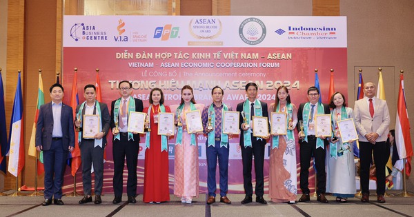 Hemia - Dấu ấn Việt Nam tại Lễ công bố Thương hiệu mạnh Asean 2024 - Ảnh 1.