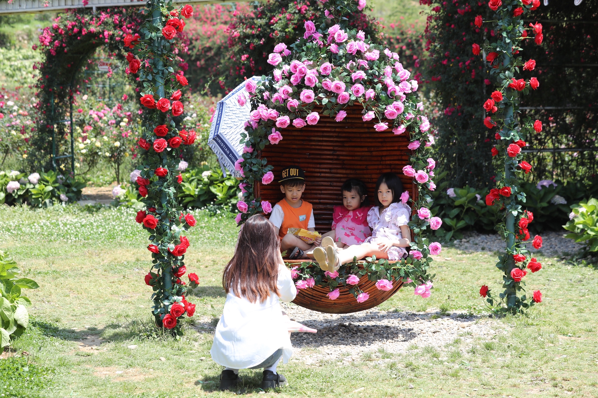 Sa Pa hút khách với hàng triệu đoá hồng cùng các show diễn đậm bản sắc văn hoá vùng cao - Ảnh 2.