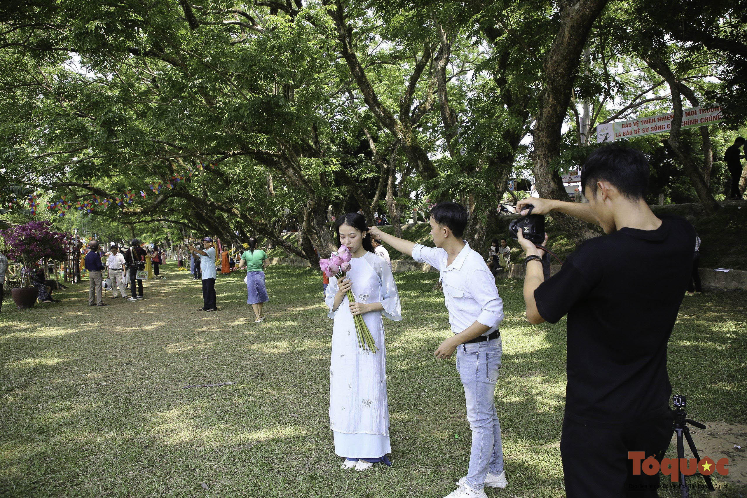 Hình ảnh quần thể 9 cây giáng hương ấn trăm tuổi ở Quảng Nam vừa được công nhận Cây Di sản - Ảnh 12.