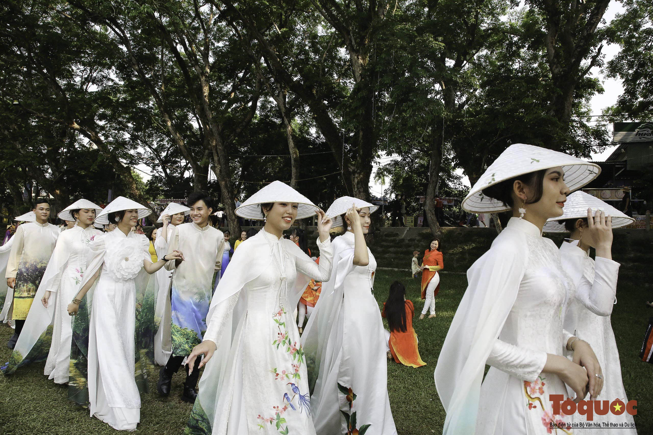 Hình ảnh quần thể 9 cây giáng hương ấn trăm tuổi ở Quảng Nam vừa được công nhận Cây Di sản - Ảnh 9.