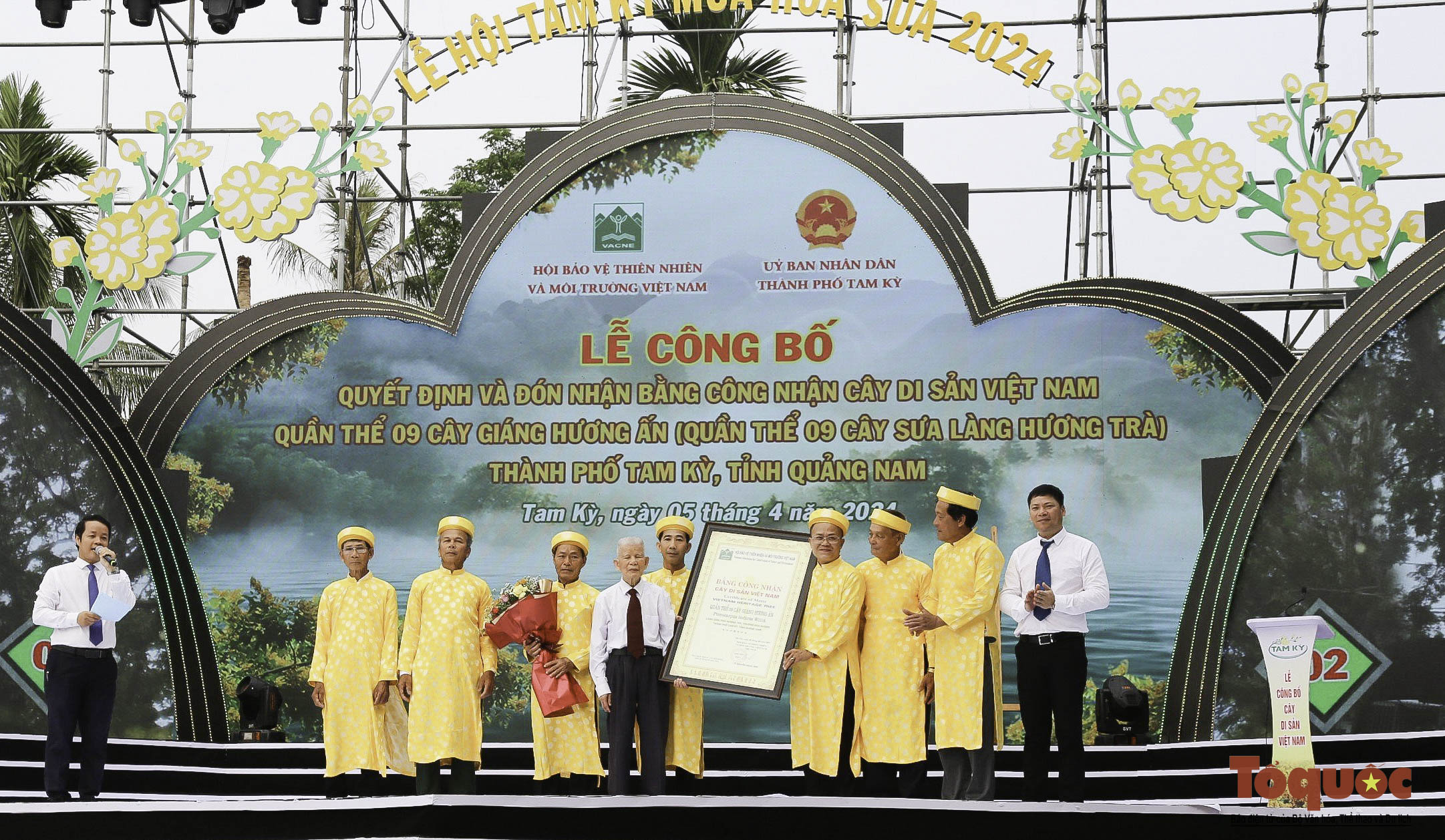 Hình ảnh quần thể 9 cây giáng hương ấn trăm tuổi ở Quảng Nam vừa được công nhận Cây Di sản - Ảnh 1.