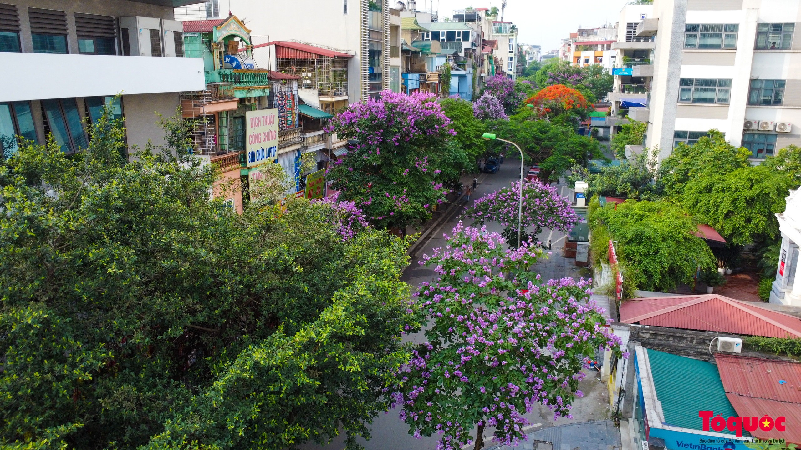 Ngắm Hà Nội lãng mạn trong mùa hoa bằng lăng tím - Ảnh 21.