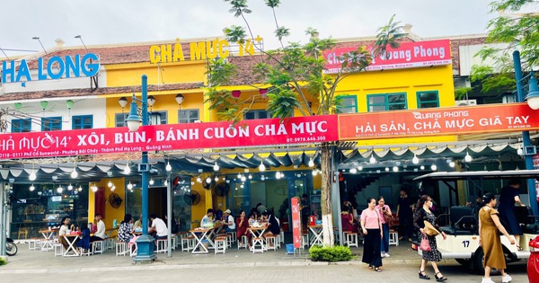 Quán chả mực 14+ nơi trải nghiệm những món ăn đặc sản số 1 Quảng Ninh - Ảnh 1.