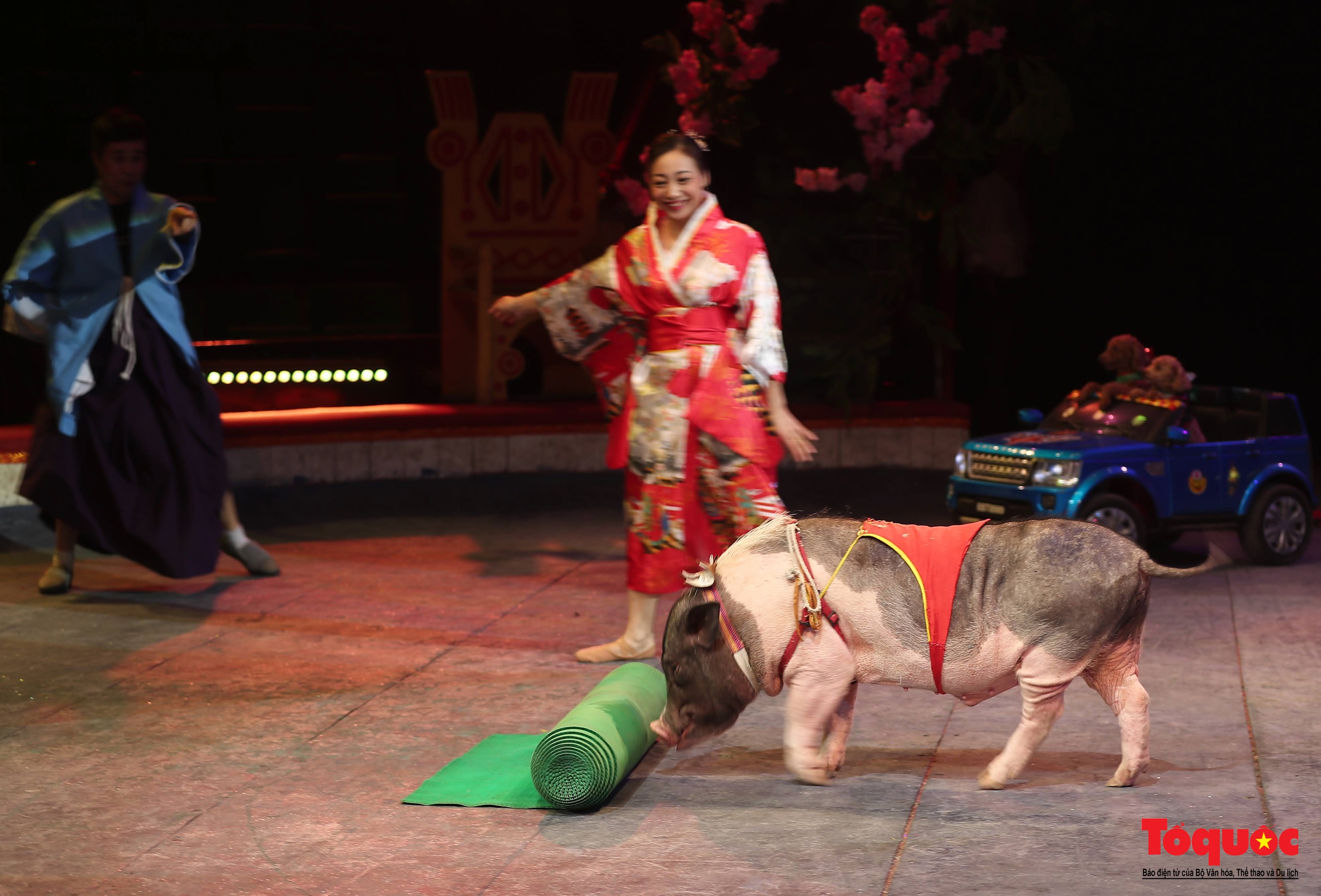 “Ninja Magic Show”: Sự kết hợp ấn tượng giữa xiếc Việt Nam và ảo thuật Nhật Bản - Ảnh 20.