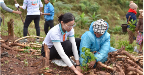 ABBank tặng 50.000 cây gỗ lớn cho người dân Quảng Bình - Ảnh 1.