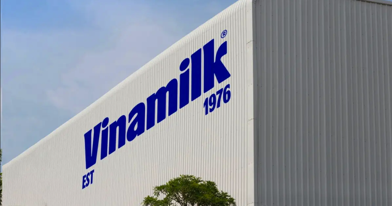 Vinamilk - Doanh nghiệp duy nhất của ngành sữa Việt Nam trong danh sách Fortune 500 Đông Nam Á - Ảnh 1.