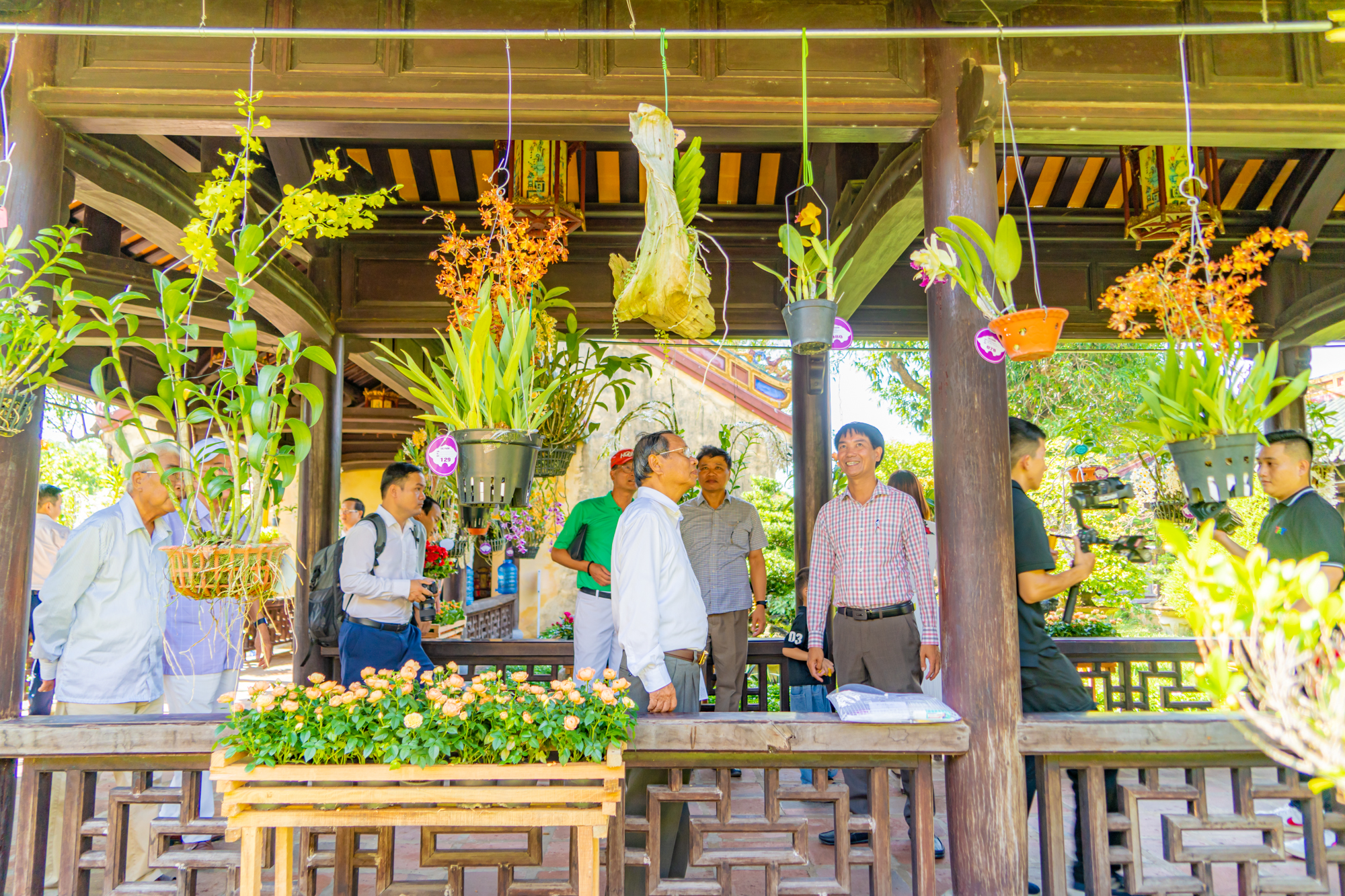 तीन क्षेत्रों के बोनसाई और ऑर्किड ह्यू रॉयल पैलेस में  Cây cảnh và phong lan ba miền