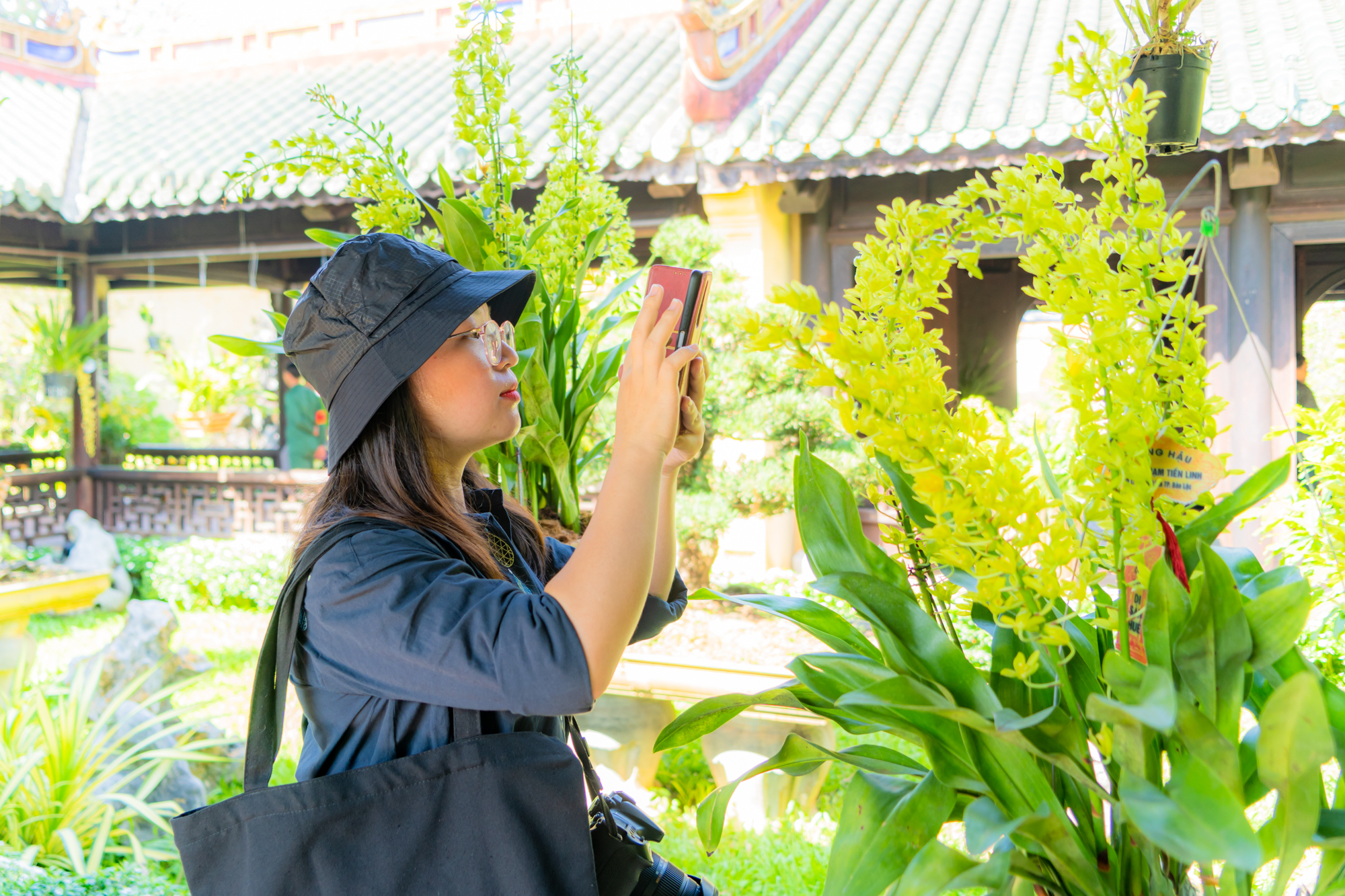 तीन क्षेत्रों के बोनसाई और ऑर्किड ह्यू रॉयल पैलेस में  Cây cảnh và phong lan ba miền