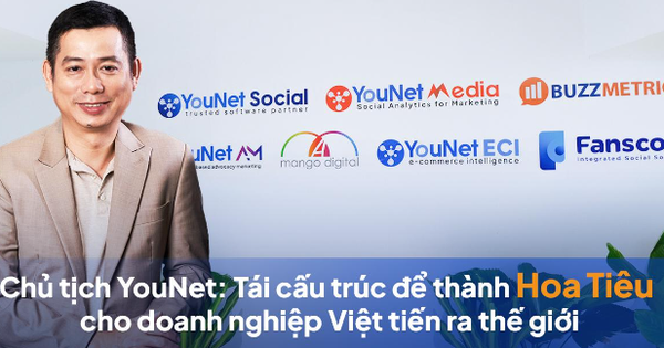 YouNet: Tái cấu trúc để thành hoa tiêu dữ liệu cho doanh nghiệp Việt - Ảnh 1.