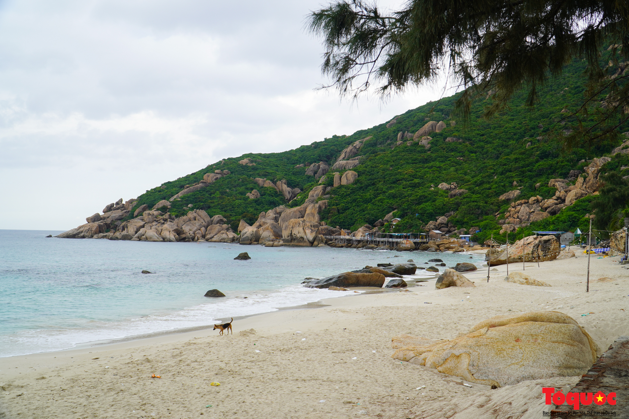 Không tổ chức tour du lịch trên đảo Bình Ba, Bình Hưng - Ảnh 1. Không tổ chức tour du lịch trên đảo Bình Ba, Bình Hưng - Ảnh 1.