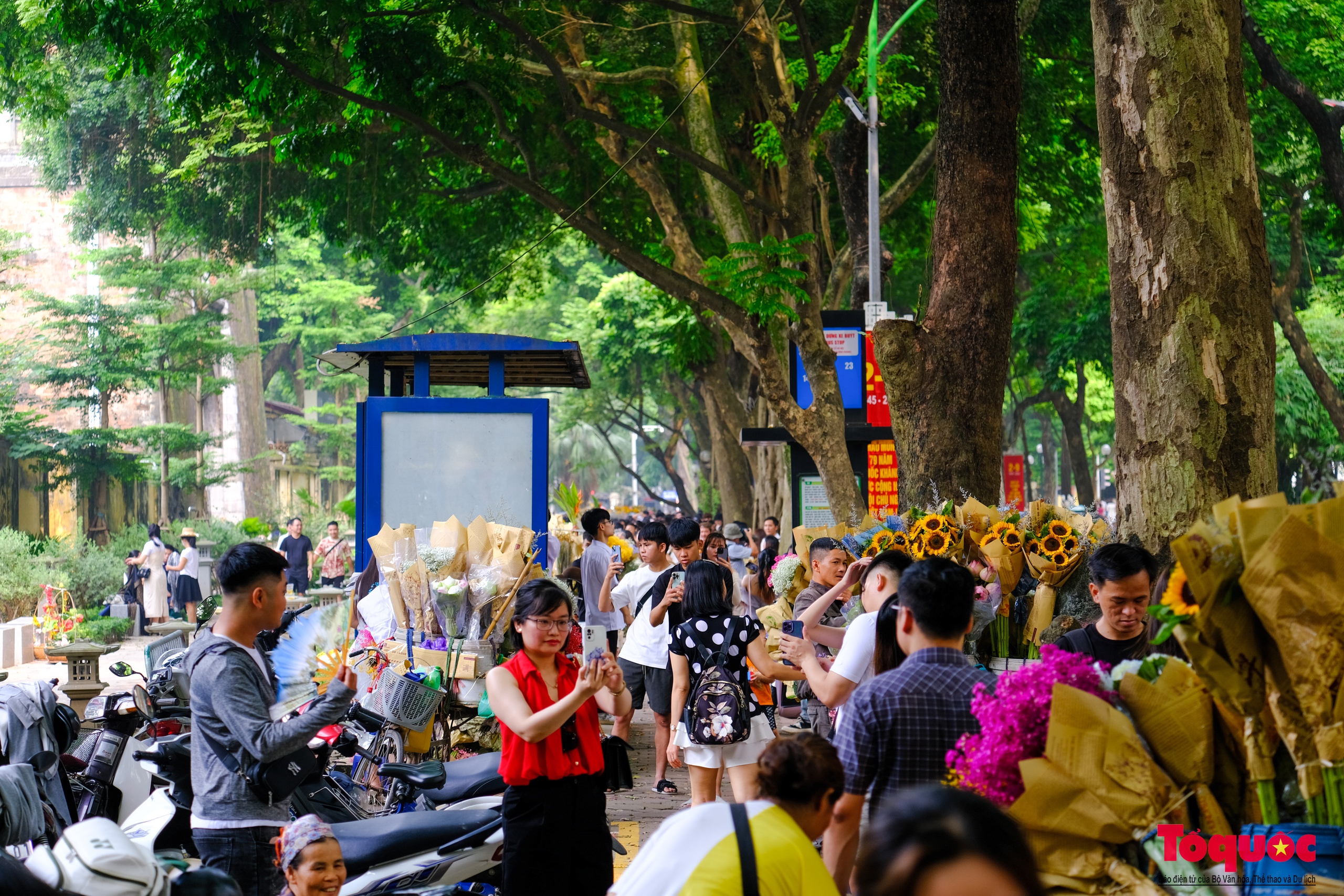 Hà Nội: Chấp nắng nóng các '&quot;nàng thơ&quot; nô nức chen chân check- in phố mùa thu Phan Đình Phùng - Ảnh 8.